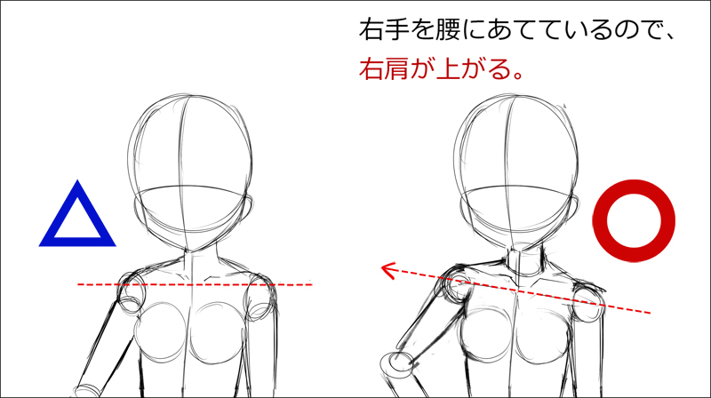 0から描く簡単な体の描き方 アニメ マンガ風キャラの描き分け